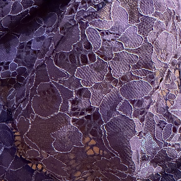 Lane Bryant Cacique Plum Lace Full Coverage lined Bra, size 40DDD - Picture 4 of 10